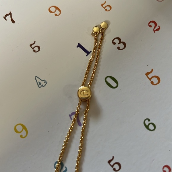 Coach Garden Party Crystal Tea Rose Slider Bracelet - Picture 6 of 13